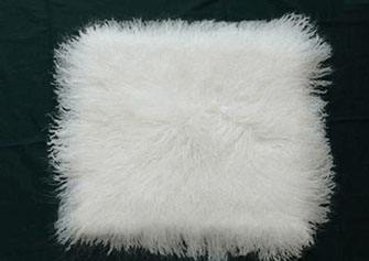 要想皮毛白度提升，應選擇哪種增白劑